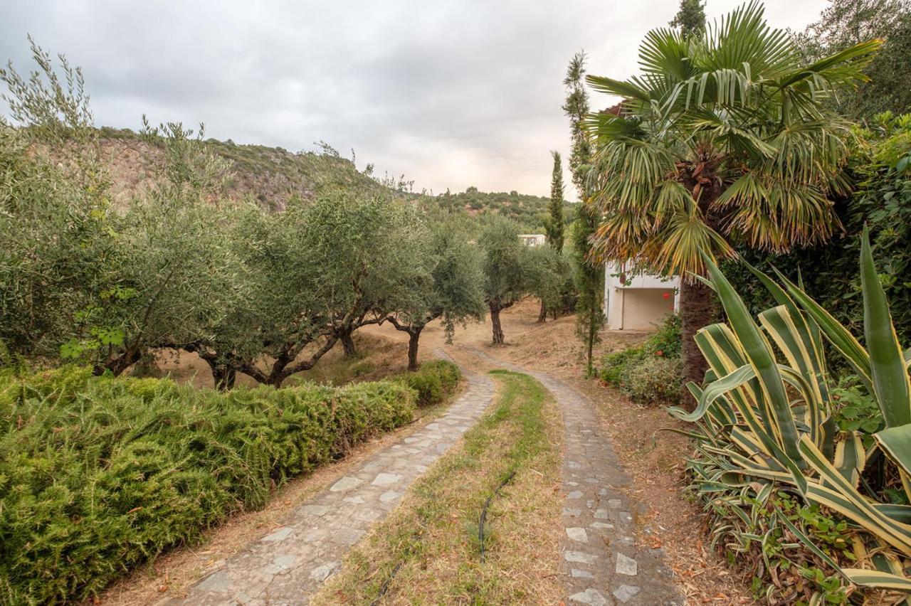 Panagea Holiday Apartments Kitriaí エクステリア 写真